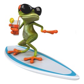 Sticker Surfer Frog I 20 x 20 cm I for Laptop Suitcase Bathroom Shower Wall as Car Sticker I Funny Cool Weatherproof I kfz_535