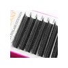 Extensiones De Pestañas Xiusuzaki 4dw En Forma De U, Color