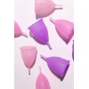Paquete Doble Cuttiecup Kit B