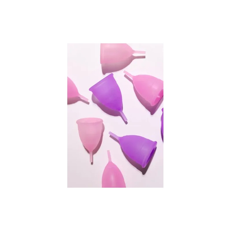Paquete Doble Cuttiecup Kit B