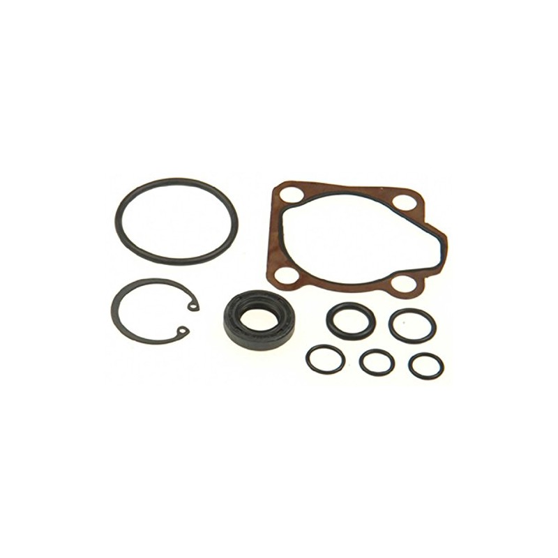 Plews & Edelmann P/S Pump Seal Kit - 8895