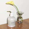 LAPOLIS Body Shampoo, 16.9 fl oz (500 ml), Formulated with