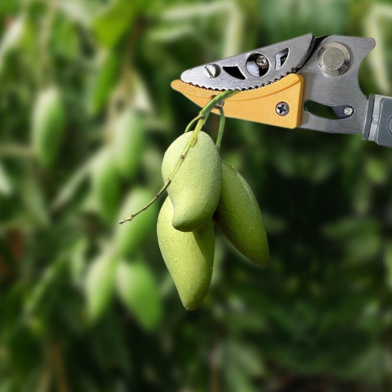 REAYEAXN 4.6-10ft Extendable Tree Pruner Long Handle Trimmer with Pole