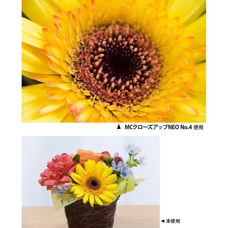 Kenko レンズフィルター MC クローズアップレンズ NEO No.4 82mm 接写撮影用 482209