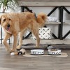 Bone Dry Dog Bone Ceramic Pet Bowl & Canister, Large,