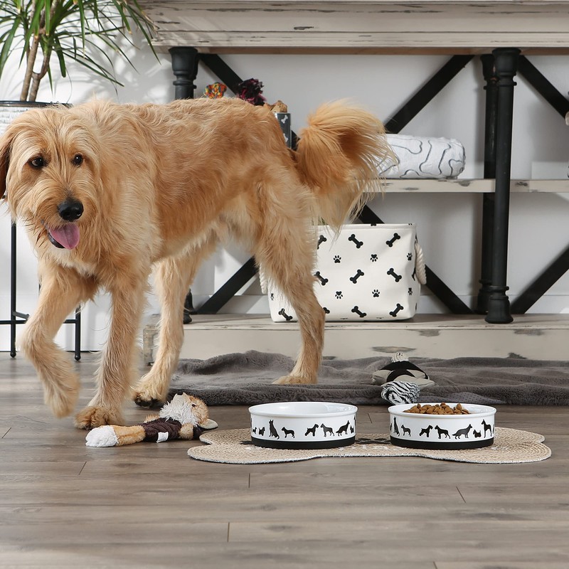 Bone Dry Dog Bone Ceramic Pet Bowl & Canister, Large,