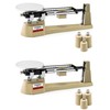 QWORK Triple Beam Mechanical Balance, 2 Pack 2610g/0.1g Lab Analytical