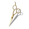 Park Jun Beauty Lab (Premium) Park Jun Titanium Gold Hair