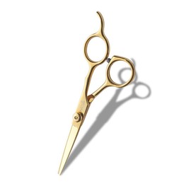 Park Jun Beauty Lab (Premium) Park Jun Titanium Gold Hair Cutting Straight Scissors