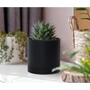 D'vine Dev 6 Pack 4 Inch Modern Plastic Plant Pots,