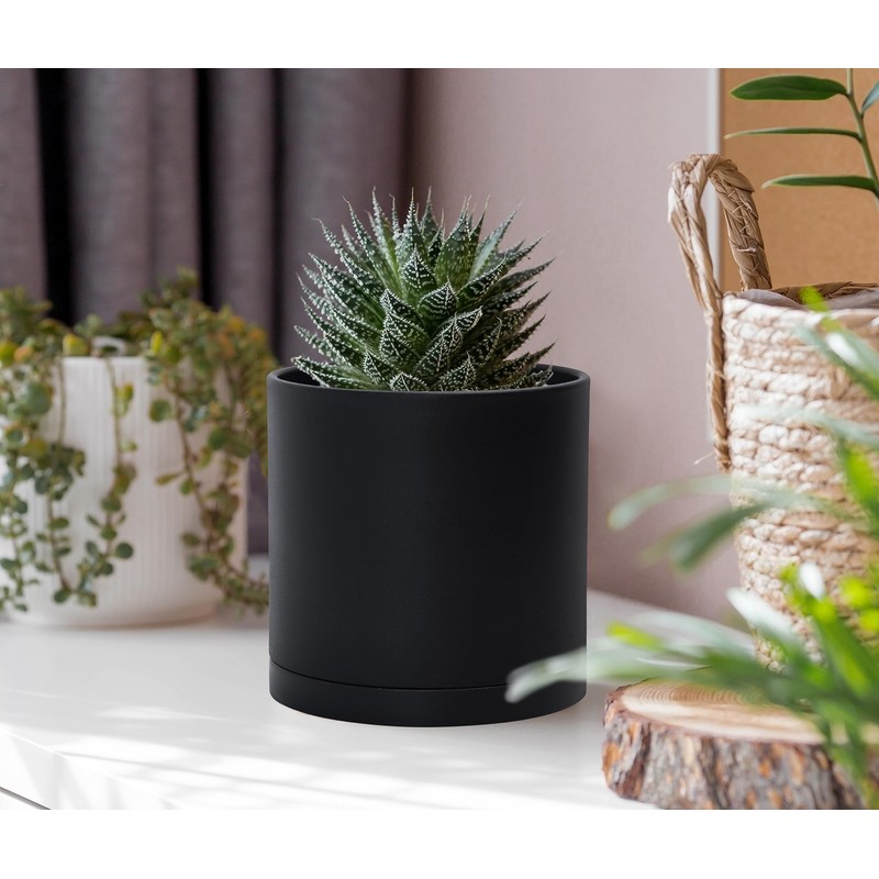 D'vine Dev 6 Pack 4 Inch Modern Plastic Plant Pots,
