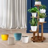 GEEBOBO GEEBOBO 5 Tiered Tall Plant Stand for Indoor, Wood