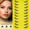 LZM QX08 Half Eyelashes, 10 Pairs of Artificial Eyelashes, Cateye