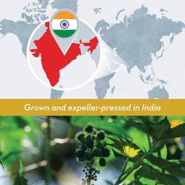 DIYBeauty Bulk Castor Oil - Unrefined, Expeller Pressed, USDA Organic - Large 2.5 Gallon Jerrican - 100% Pure & Undiluted Aceite De Ricino - for Skin, Eyelashes, Eyebrows, and Hair Growth