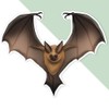 Extra Large 460mm 'Flying Bat' Permanent Sticker Decal for Cars/Windows/Bins/Walls