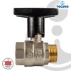 tecuro Ball Valve, Internal x External Thread Rp 1 Inch