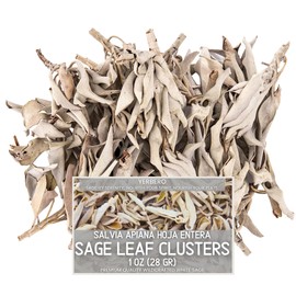 Yerbero - Premium White Sage Cluster Incense 1 Oz (28g) | Hoja De Salvia Blanca Entera | Salvia officinalis | Sanctification, Purification, Restoration, Metaphysical, Mindfulness, Wicca.