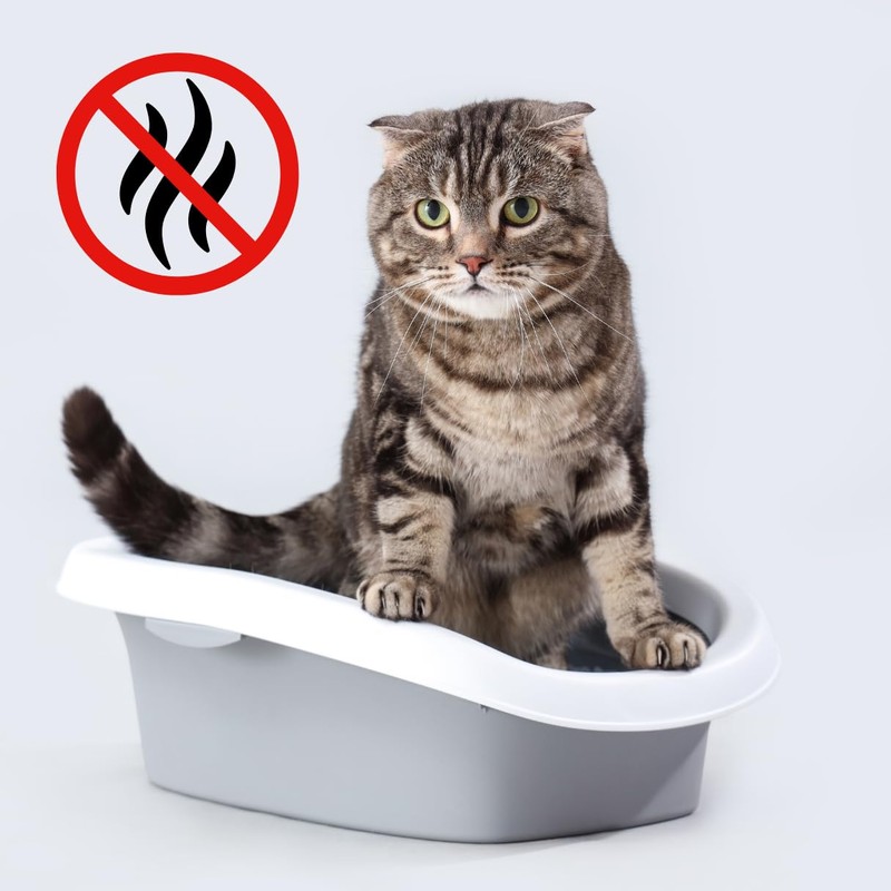 Sodium Bicarbonate – 50 lb Bulk Baking Soda for Cleaning,