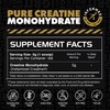 Gains in Bulk Instantized Creatine Monohydrate for Women and Men,