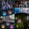 numiko Solar Floating Pool Lights, 14" Inflatable RGB LED Pool