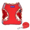 BTDCFY Step in Mesh Dog Harness and Leash Set Breathable