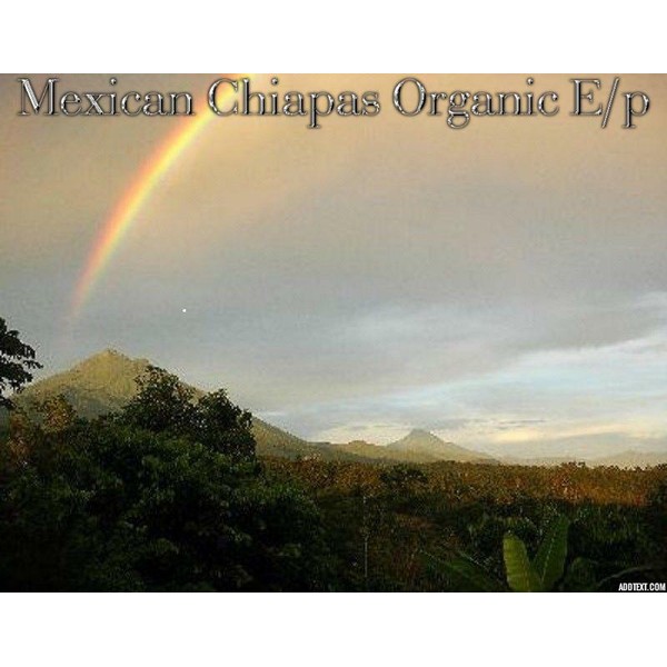 5 lbs Mexican Chiapas SH/G E/P Organic Medium Fresh Roast Coffee Beans