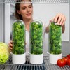jioko 2 Pack Herb Keeper for Refrigerator, Clear BPA-Free Fresh