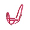 Derby Originals Adjustable Nylon Livestock Cattle Halters Available