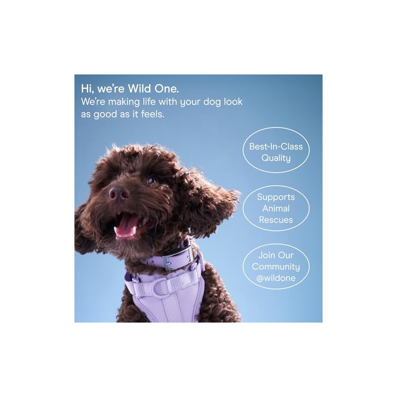 Wild One Wild One, Eucalyptus Natural Dog Grooming Wipes, Cruelty-free,
