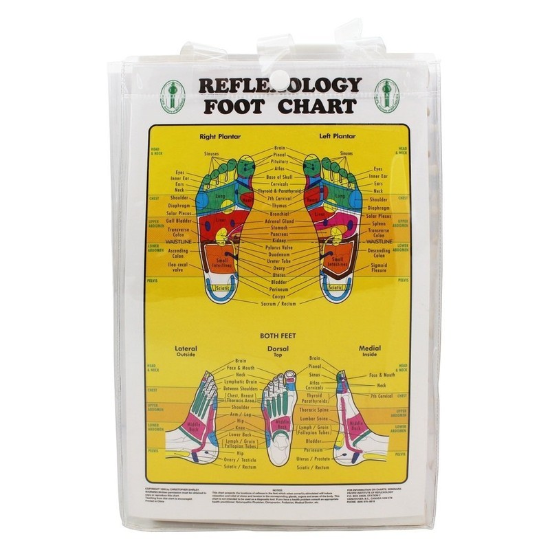 Deluxe Reflexology foot Bed - FREE laminated Reflexology Foot Chart