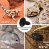 PTSCBS 2-Pack Ceramic Reptile Heat Lamp (Non-Light Emitting Bulb) -