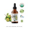 Kate Blanc Cosmetics Argan Oil for Hair, Face & Skin