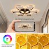 Oliterlux Modern LED Ceiling Light Fixture Black Flush Mount Ceiling