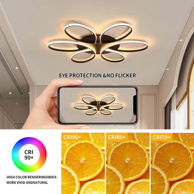 Oliterlux Modern LED Ceiling Light Fixture Black Flush Mount Ceiling