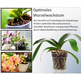 meindekoartikel 12 Orchid Pots for Orchids Plastic Transparent (Diameter 11.5 cm x Height 11 cm)