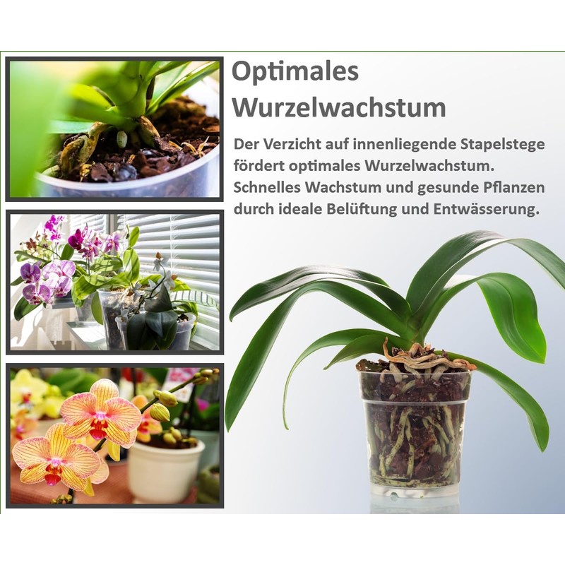 meindekoartikel 12 Orchid Pots for Orchids Plastic Transparent (Diameter 11.5
