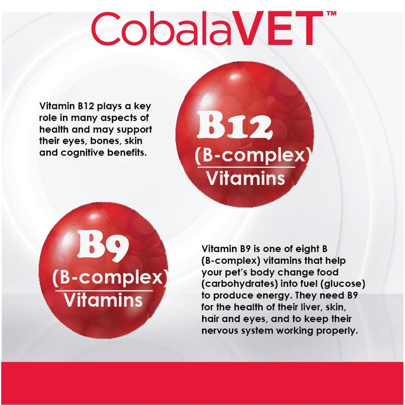 CobalaVet Vitamin B12 & B9 for Small Dogs & Cats