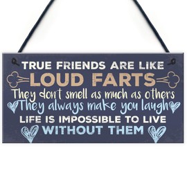 RED OCEAN Funny Best Friend Friendship Plaques Shabby Chic Cute Thank You Birthday Gifts For Her For Him