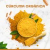 BULK SUPERFOODS Cúrcuma Suplemento Alimenticio 100 Natural