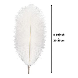 Rgontar 8-10 inches White Ostrich Feather,Large Natural Ostrich,Plumas para Decoraciones for Home Decor Party Wedding Decorations, Pack of 10 (White)