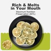 16 oz Dehydrated Lime Slices Dried Limes for Cocktails Garnish