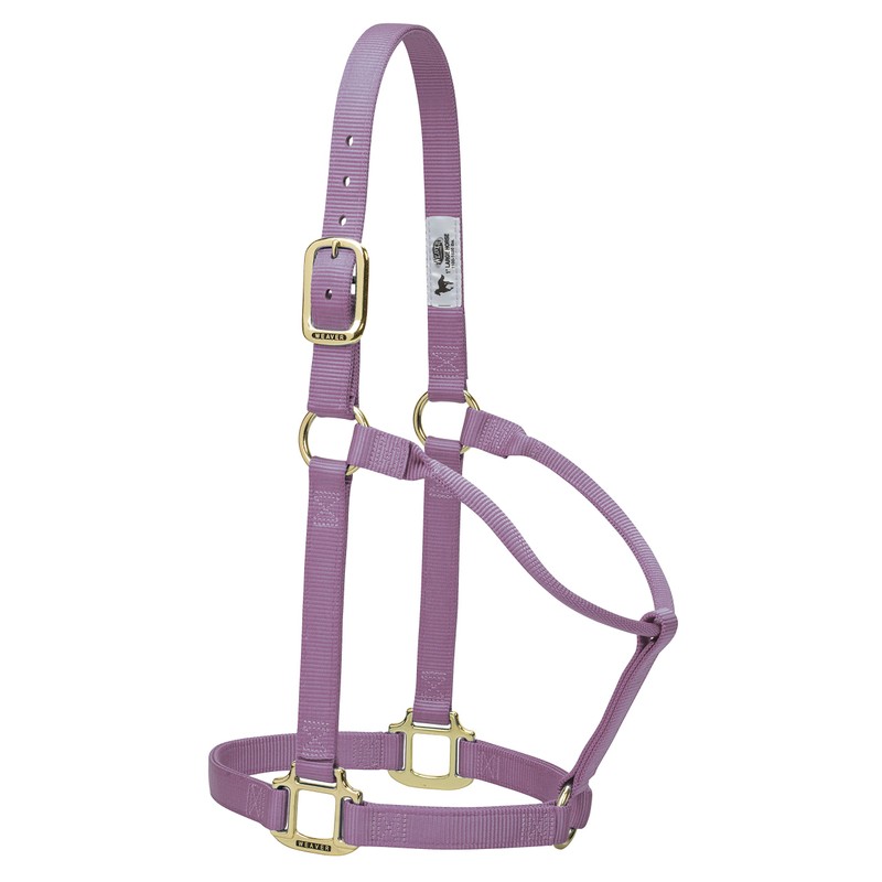 Weaver Leather Original Non-Adjustable Nylon Horse Halter, Small, Lavender