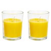 PMS 951033 Glass Jar Citronella Votives | 2pcs. Accessory, Multicolor