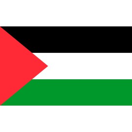 Palestine Country Flag FRIDGE MAGNET Pick a Size Lot Up - 3 x 4 Inch Flexible Magnet