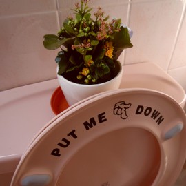 Fun 'Put Me Down' Toilet Seat Funny Sticker Bathroom Accessories (Black)