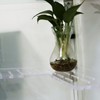 PIAOLGYI Replacement Shelf Set for IKEA Milsbo Glass-Door Cabinet, Horseshoe