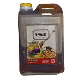 Spot of Joy Wild Honey Syrup 6.6LBS / 3kg, Smooth Sweet Honey Great for Teas, Boba Teas, Lemonades, Cocktails, & Coffee, Gluten-Free, Non-GMO, Pack of 1
