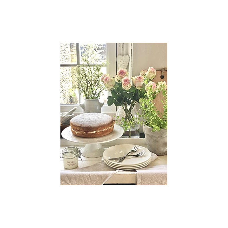 Buttercup China 8-Inch Fine Bone Coupe Plate Set of 6