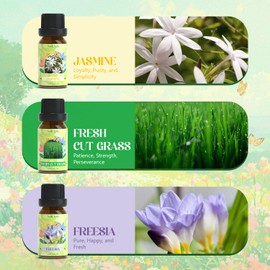 SoulOrigin Soulorigin Spring Fragrance Oils Set, Essential Oil Gift Set for Diffuser, Spring Scent Diffuser Oil, Diffuser Scents Oil for Home,Freesia,Breeze,Fresh Green Willow,Fresh Cut Grass,Jasmine, After Rain