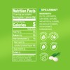 DC24 DAILY CARE Xylitol Erythritol Mints, No Aspartame Sugar Free